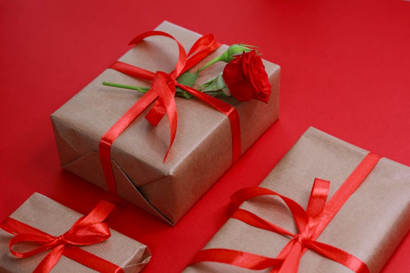 Chrysanthèmes automnaux